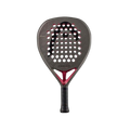 Head Coello Motion 2026