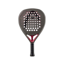 Head Coello Motion 2026