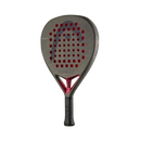 Head Coello Motion 2026