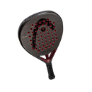 Head Coello Motion 2026