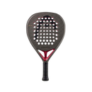 Head Coello Team 2026