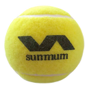 Varlion Summum Pro Ball